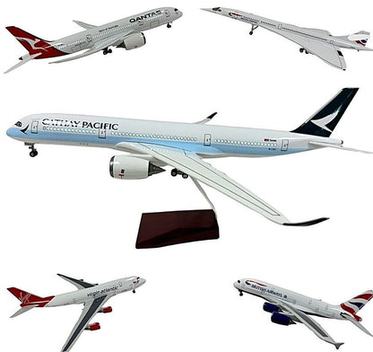 Realistic Large Scale Model Plane