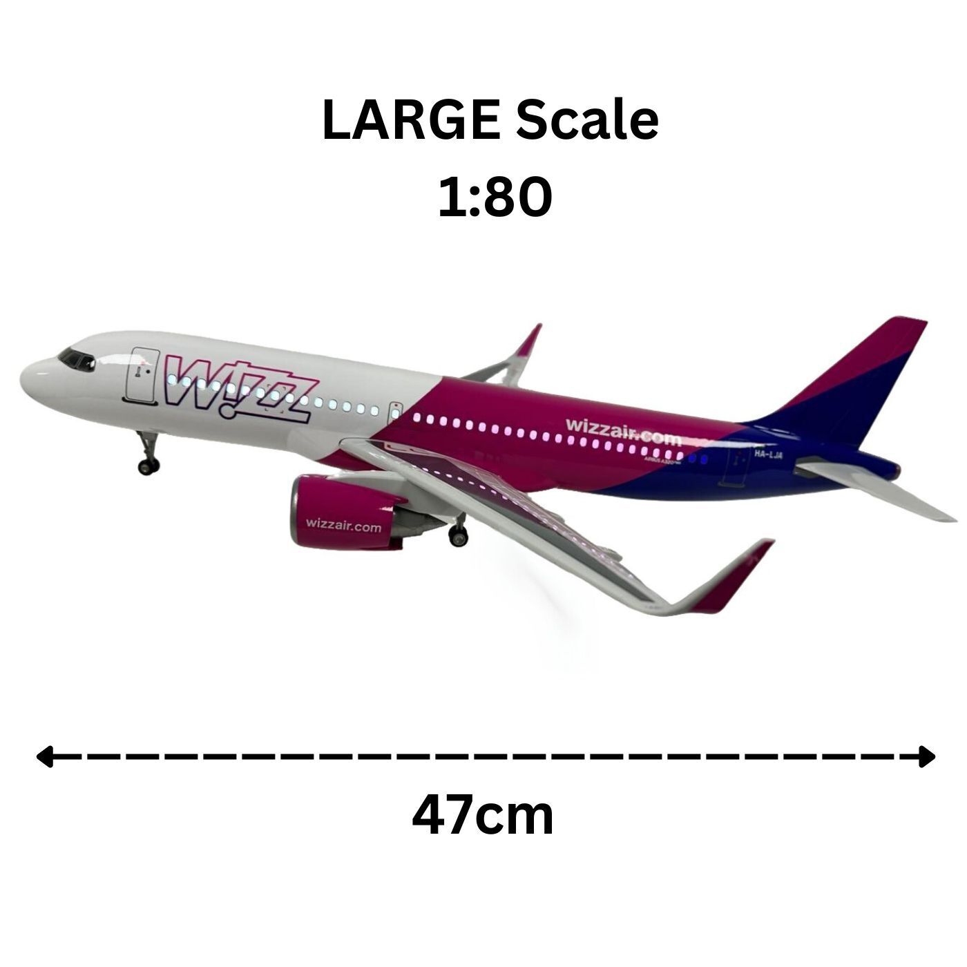 Realistic Large Scale Model Plane