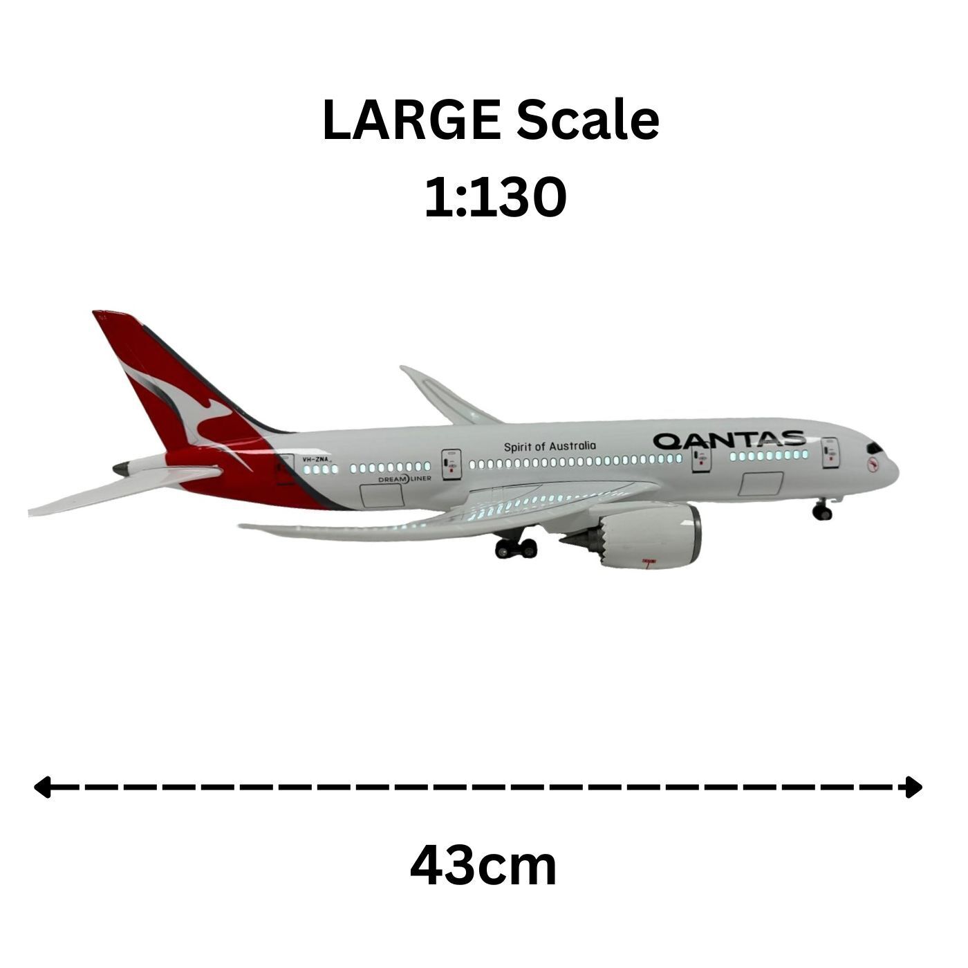 Realistic Large Scale Model Plane