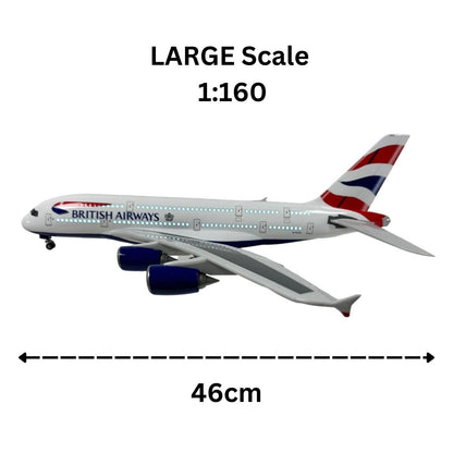 Realistic Large Scale Model Plane