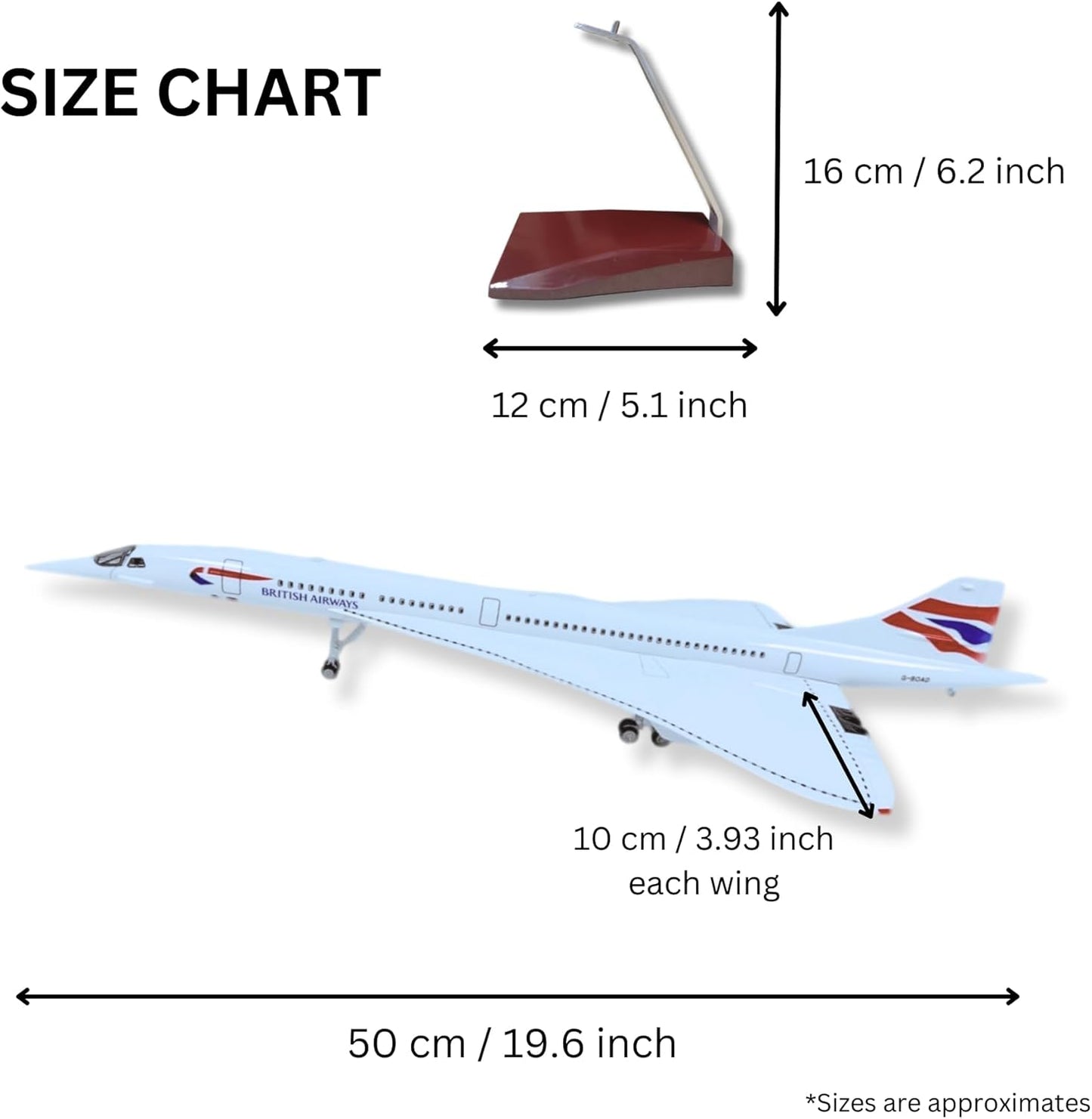 Realistic Large Scale Model Plane